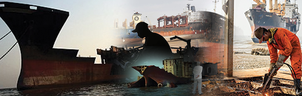 Mollah Shipping Image
